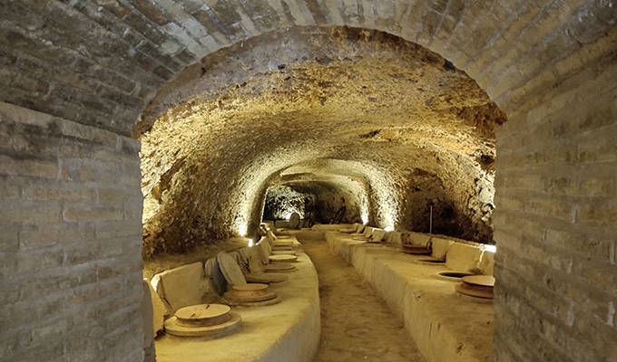 La bodega fonda de Celler del Roure.