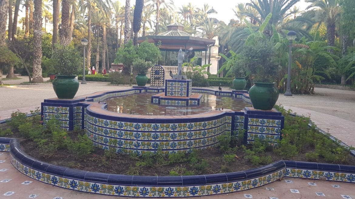 Interior del palmeral de Elche. Elx