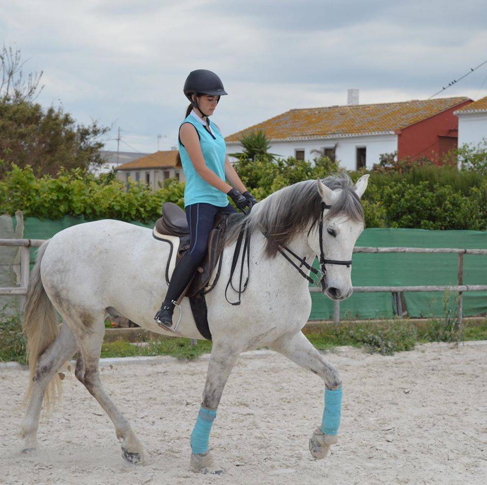 hípica, equitación